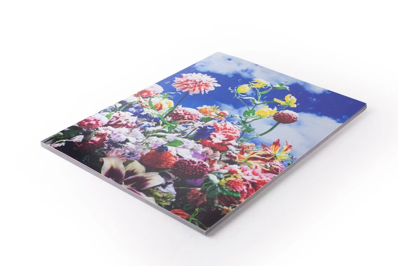 Eternity in a Moment Vol. 1 - Mika NINAGAWA | shashasha