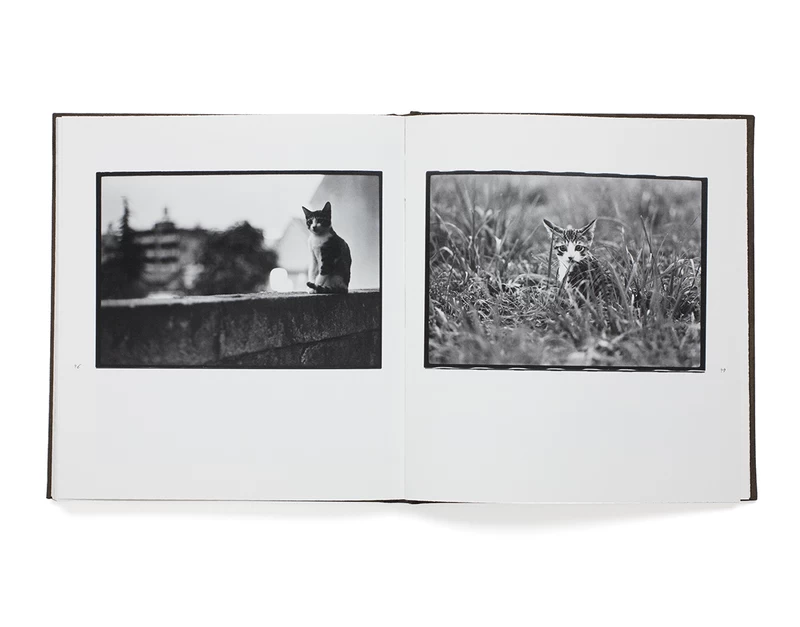 Afterword - 深瀬昌久 | shashasha 写々者 - 写真集とアートブック
