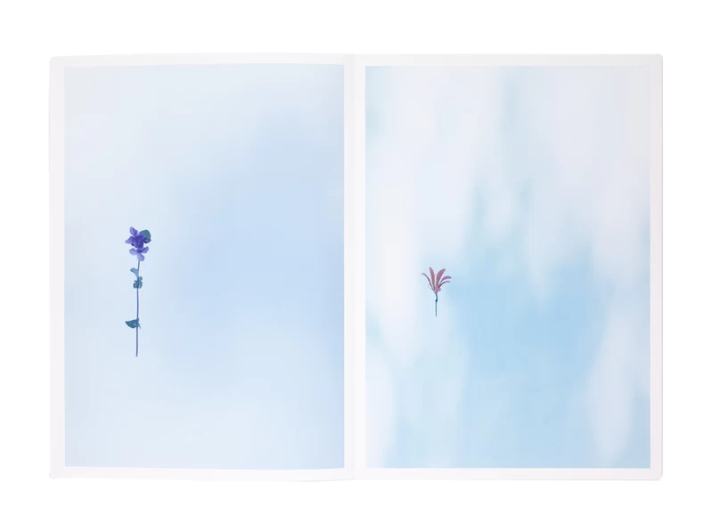 Flower - 野口恵太 | shashasha 写々者 - 写真集とアートブック