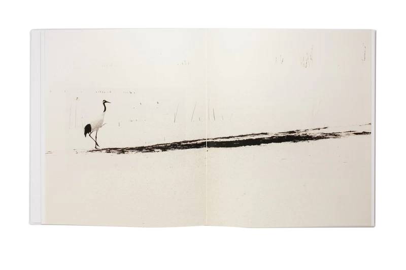 Yamamoto Masao - Masao YAMAMOTO | shashasha - Photography & art in