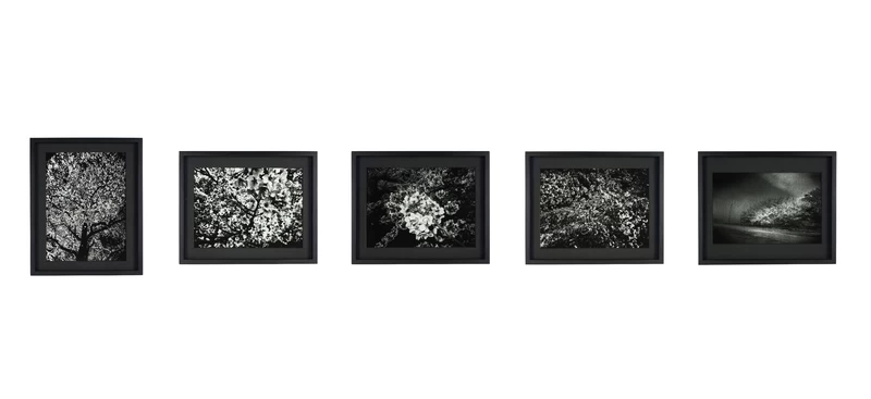 Daido Moriyama: Ango [プリント販売] | shashasha 写々者 - 写真集と