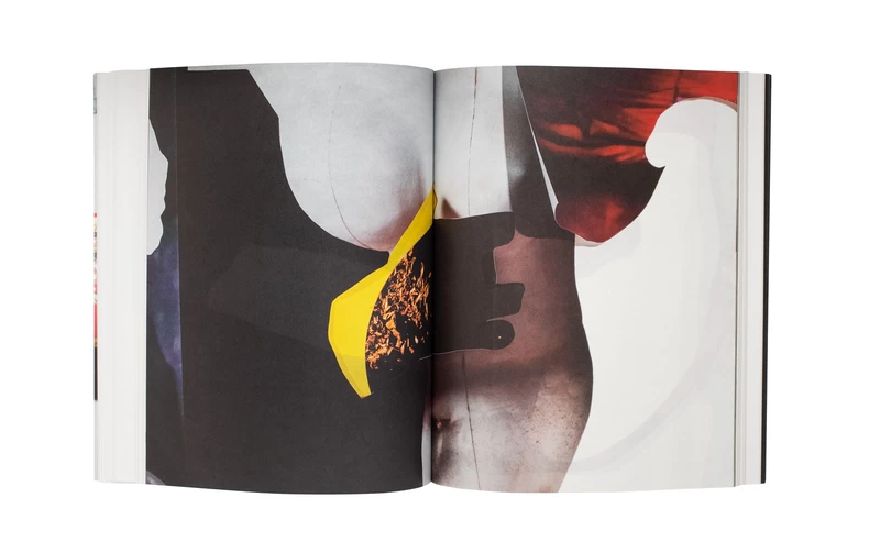 Venus & Mercury - Viviane SASSEN | shashasha - Photography & art