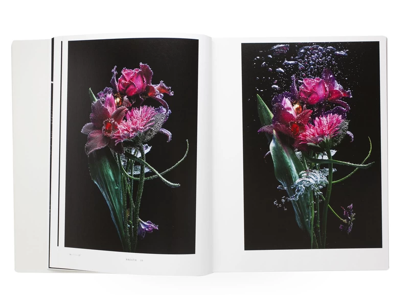 Encyclopedia of Flowers Vol. VI - Makoto AZUMA, Shunsuke SHIINOKI