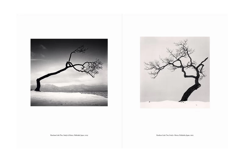 JAPAN A LOVE STORY マイケル ケンナMichael Kenna Japan | A Love Story - マイケル・ケンナ | shashasha 写々者 - 写真