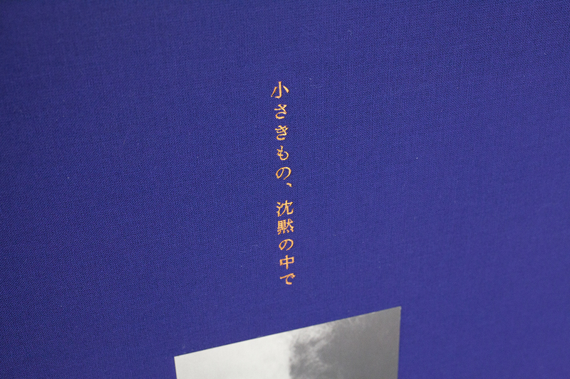 小さきもの、沈黙の中で Small Things in Silence｜青幻舎 SEIGENSHA Art Publishing, Inc.