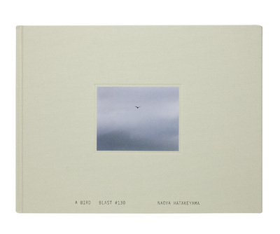 Naoya HATAKEYAMA - 畠山直哉 | shashasha - Photography & art in books