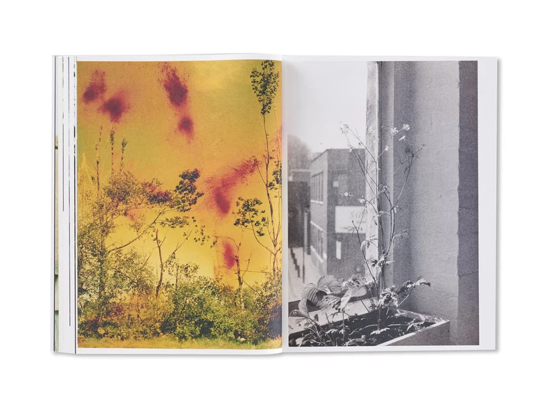 WOLFGANG TILLMANS - Wolfgang TILLMANS | shashasha - Photography