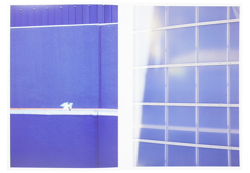 this year's model スペシャルエディション A - 伊丹豪 | shashasha 写