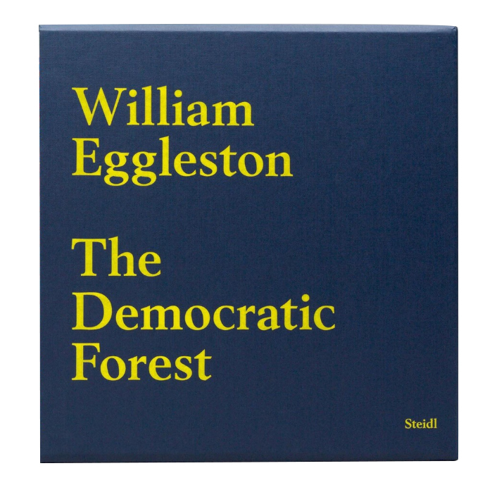 The Democratic Forest - William EGGLESTON | shashasha 