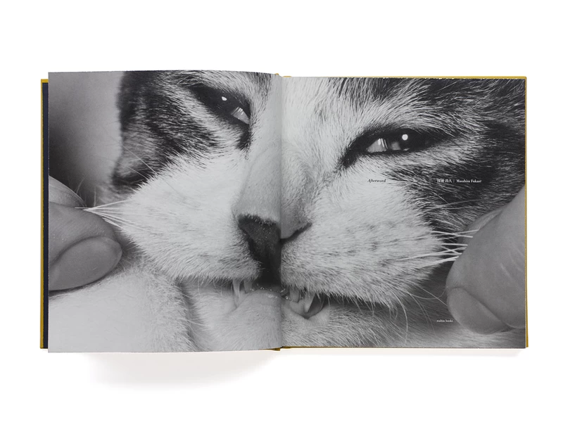 Afterword special edition - 深瀬昌久 | shashasha 写々者 - 写真集と