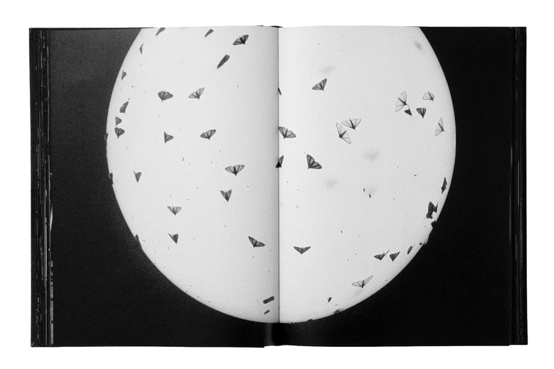 アート・デザイン・音楽 Monument / Trent PARKE 2nd printing Trent Parke: Monument - BOOK OF DAYS ONLINE SHOP