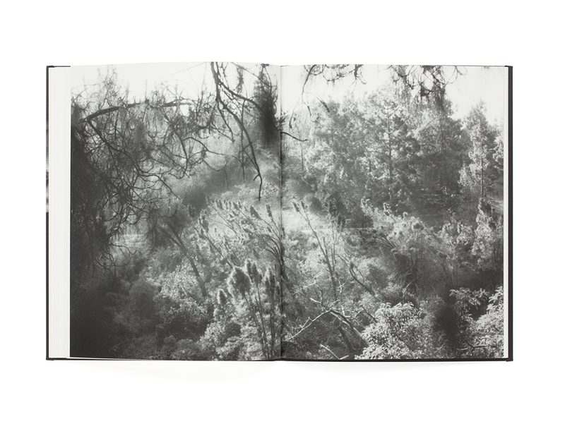 DIM - Hanayo | shashasha - Photography & art in books