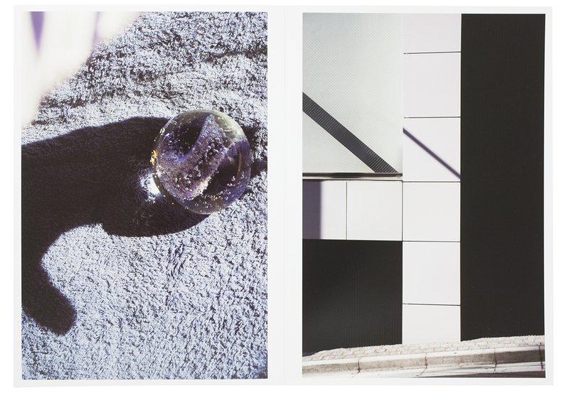 this year's model shashasha edition - Go ITAMI | shashasha