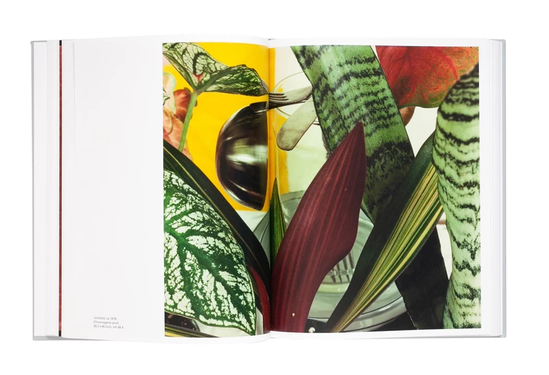 Susan Kismaric JAN GROOVER　ヤン・グルーバー Jan Groover, Photographer: Laboratory of Forms - ヤン・グルーバー