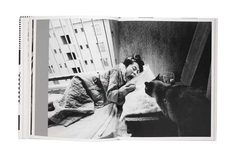 遊戯 - 深瀬昌久 | shashasha 写々者 - 写真集とアートブック