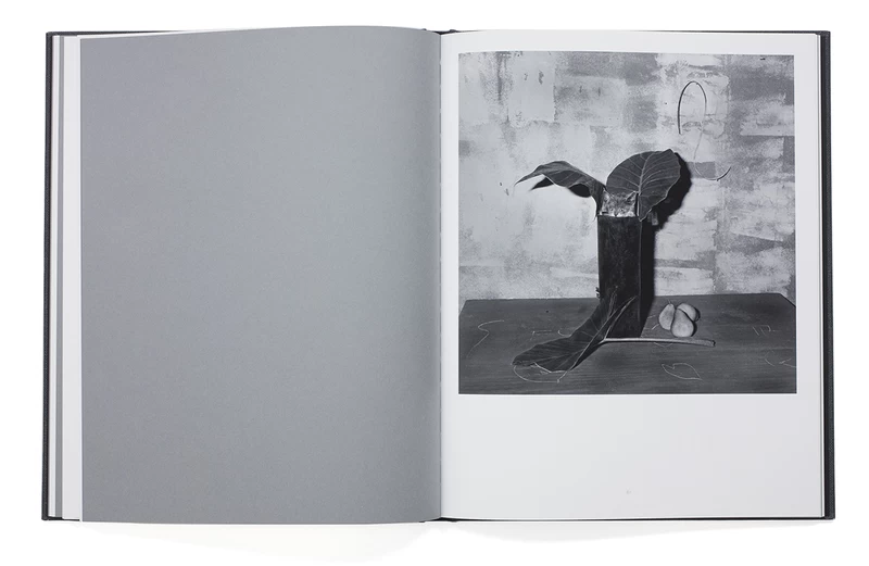 THE HOUSE PROJECT - Roger BALLEN | shashasha - Photography & art