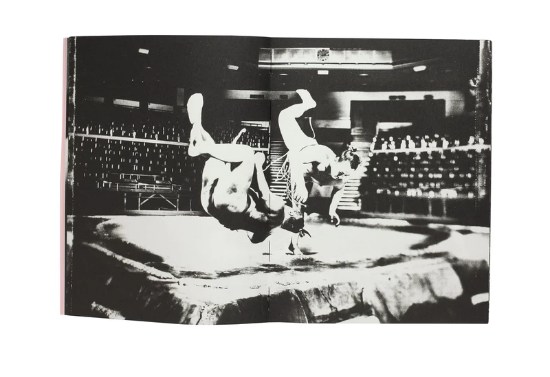 Sumo - Tomasz GUDZOWATY | shashasha - Photography & art in books