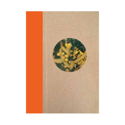 山本敏雄 彼岸花 曼殊沙華 秋 花の絵 絵画 静物画 水彩画 山本敏雄 彼岸花 曼殊沙華 秋 花の絵 絵画 静物画 水彩画 山本敏雄