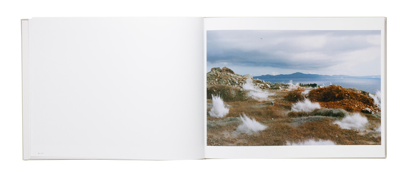 A Bird / Blast #130 - 畠山直哉 | shashasha 写々者 - 写真集とアート