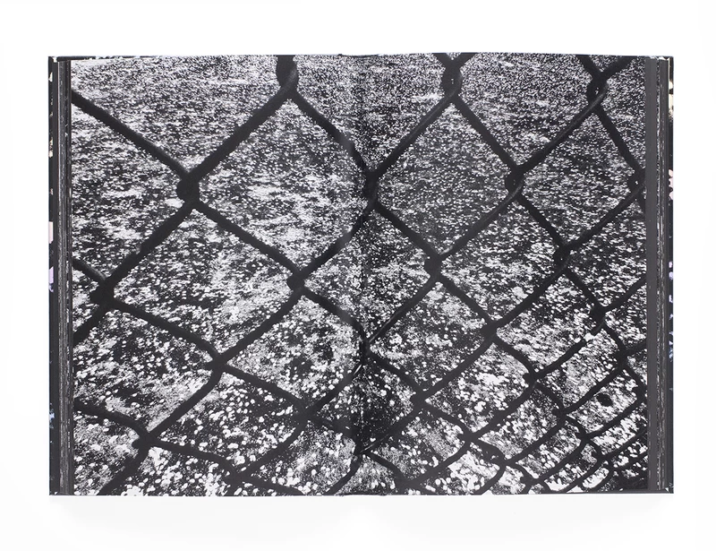 Daido Moriyama: Ango（英語版） - 森山大道 | shashasha 写々者