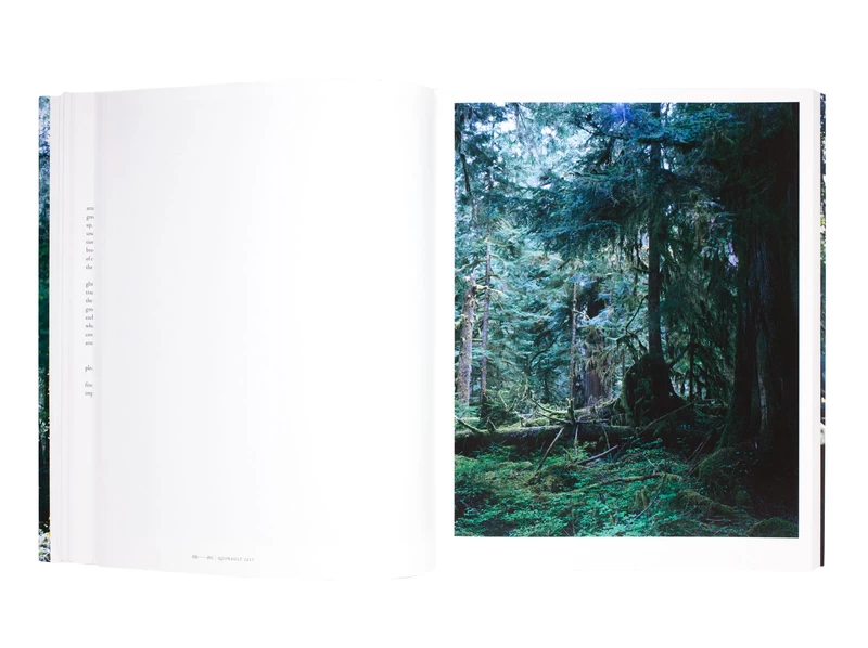FOREST 印象と記憶 1989-2017 - 上田義彦 | shashasha 写々者 - 写真集