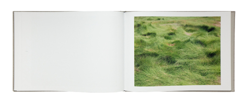 La plaque sensible - Risaku SUZUKI | shashasha - Photography & art in books