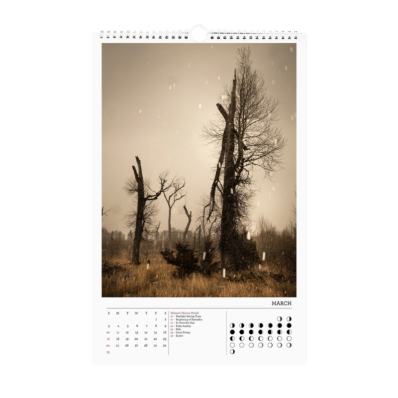 todd hido 2024年カレンダー　サイン入り 2024 Calendar - Todd Hido