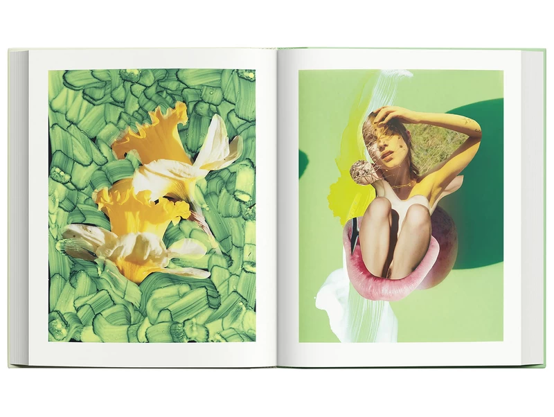 Modern Alchemy - Viviane SASSEN, Emanuele COCCIA | shashasha