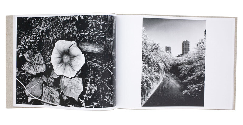 Flowers - Daido MORIYAMA | shashasha - Photography & art in