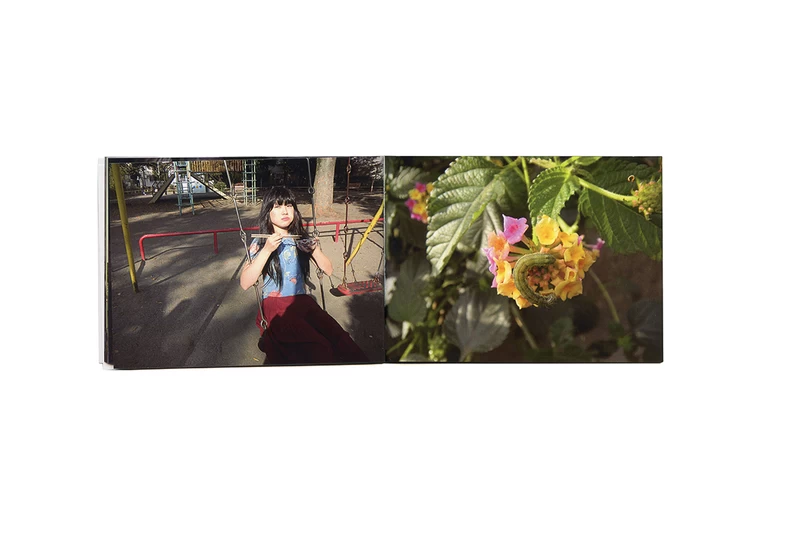 album - 市場大介 | shashasha 写々者 - 写真集とアートブック album - 市場大介 | shashasha 写々者 - 写真集とアートブック
