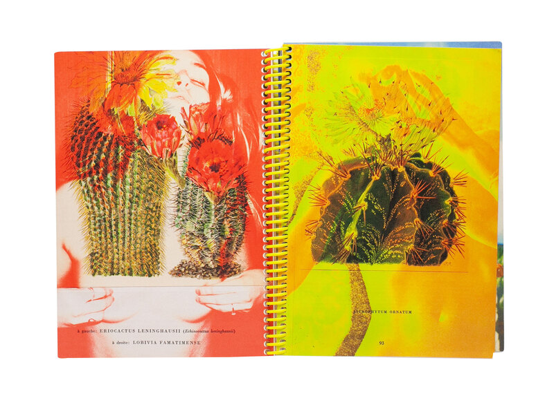 【サイン入り】Vincent Delbrouck サイン入り】Vincent Delbrouck 【公式通販】