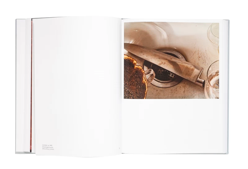 Jan Groover, Photographer: Laboratory of Forms - Jan GROOVER