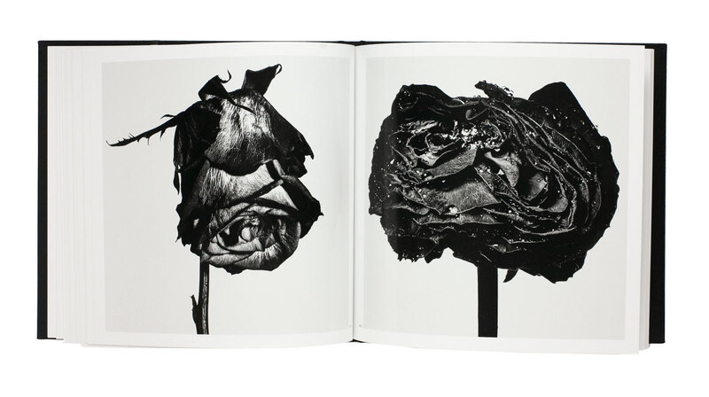 花開く大地 Withered Flowers Black - Kazunali TAJIMA | shashasha