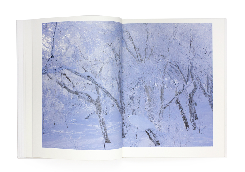 渡辺洋一 Essence of the Winter Forest 写真集 The Essence of the Winter Forest (A) - 渡辺洋一 | shashasha