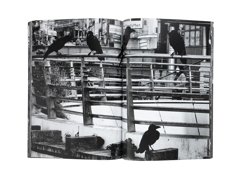 Record No. 57 - Daido MORIYAMA | shashasha - Photography & art in