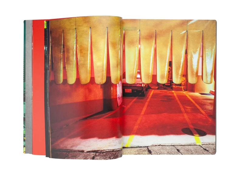 JAL 76 88 - Greg GIRARD | shashasha - Photography & art in books
