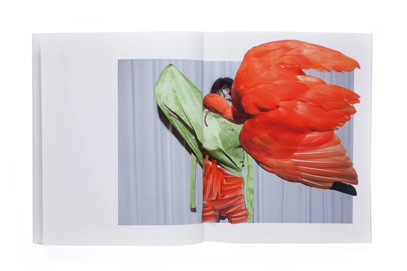 OF MUD AND LOTUS - Viviane SASSEN | shashasha - Photography & art