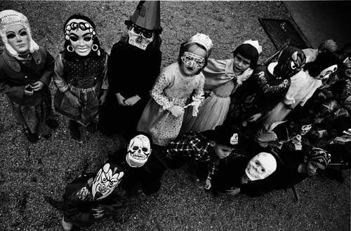 植物に 山村雅昭 PLANTS Gasho Yamamura 直筆サイン入り Gasho