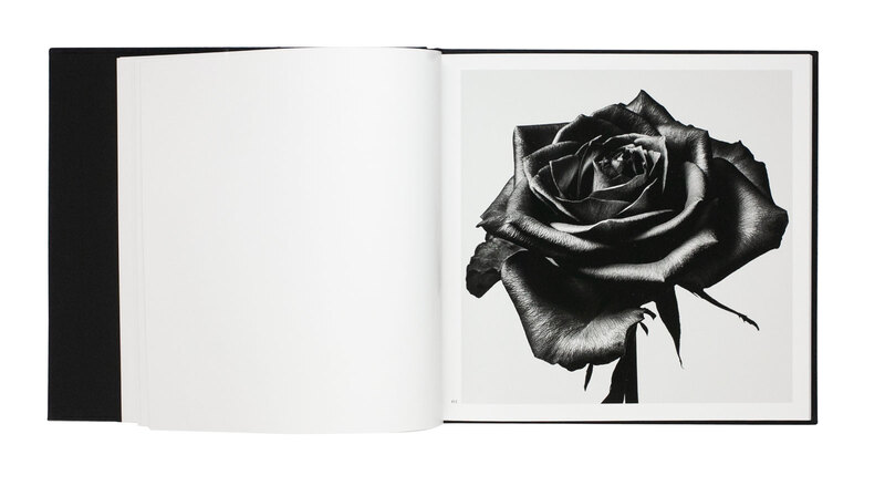 Withered Flowers Black - Kazunali TAJIMA | shashasha