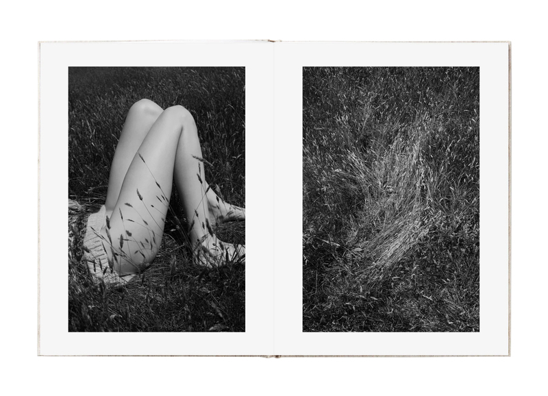 Venus & Mercury - Viviane SASSEN  shashasha - Photography & art