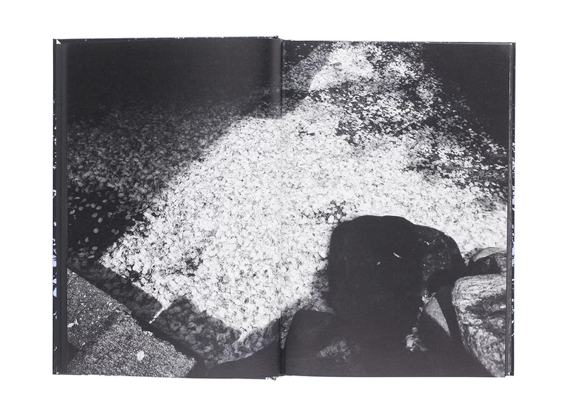 Daido Moriyama: Ango（英語版） - 森山大道 | shashasha 写々者