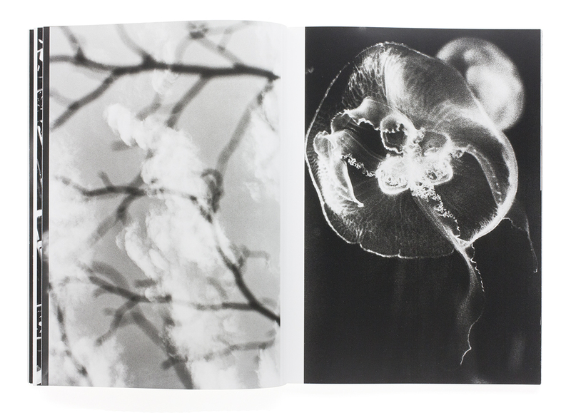 川田喜久治 写真集 The Last Cosmology The Last Cosmology - 川田喜久治 | shashasha 写々者 - 写真集