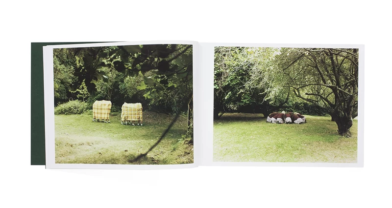 Assembly - Osamu YOKONAMI | shashasha - Photography & art in books
