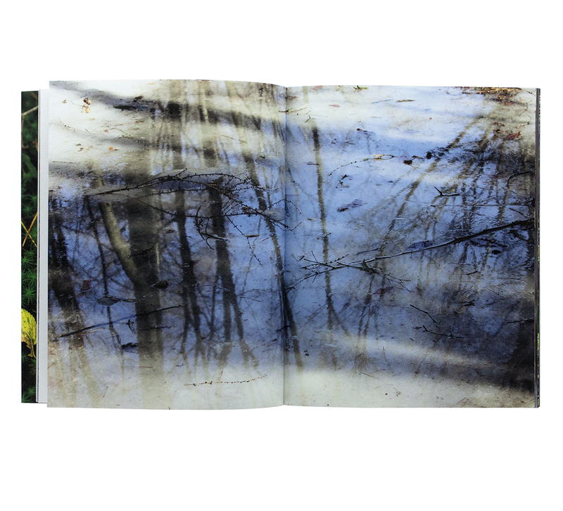 Mina TABUCHI - 田淵三菜 | shashasha - Photography & art in books