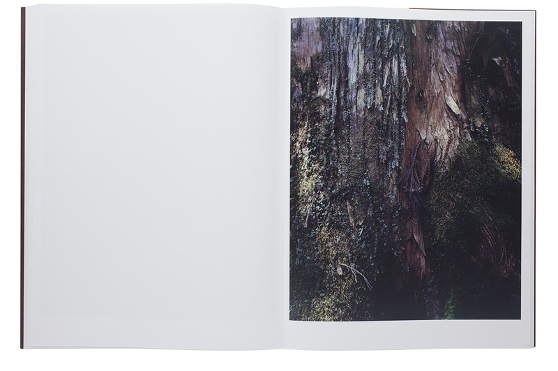 Materia - Yoshihiko UEDA | shashasha - Photography & art in books