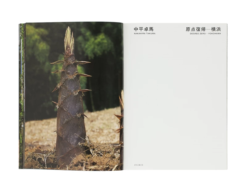 原点復帰 — 横浜 - 中平卓馬 | shashasha 写々者 - 写真集とアートブック