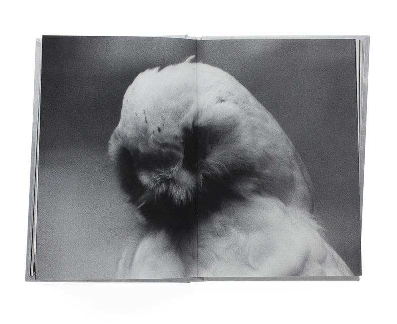 森山大道 写真集　Ango Daido Moriyama: Ango（日本語版） - 森山大道 | shashasha 写々