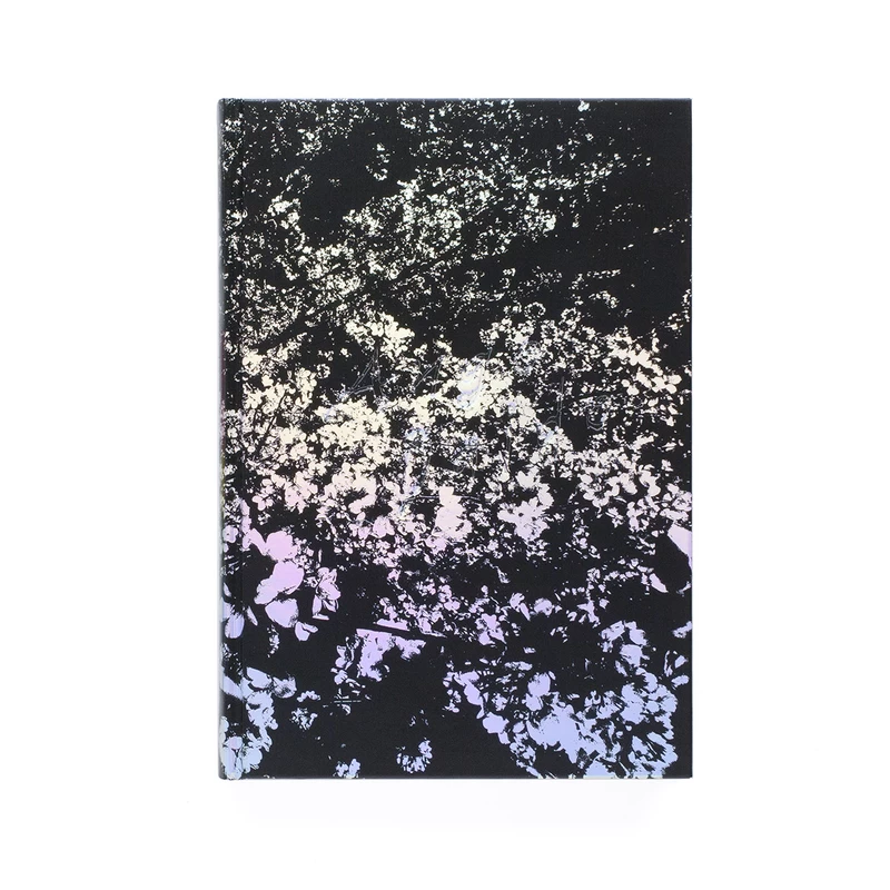 DgChSggEd_mGENzC.webp