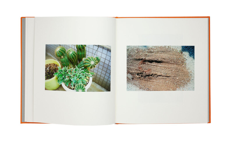 My name is My name is - 大道兄弟 | shashasha 写々者 - 写真集と