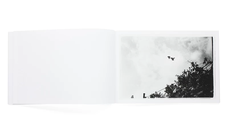 去年の写真 - 荒木経惟 | shashasha 写々者 - 写真集とアートブック 去年の写真 - 荒木経惟 | shashasha 写々者 - 写真集とアートブック